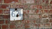 <b>Neglect - </b>While my wife and her mother wandered around the Augusts History Museum's Lindbergh Exhibit I wandered around outside in the rundown warehouses in the area. Here is my favorite from the 2-dozen images shot. (03/26/2004) OLYMPUS DIGITAL CAMERA