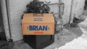 <b>Cardboard - </b>I didn't know I grew lettuce... (07/05/03) Cardboard
