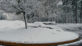 <b>Can You See The Miata In This Picture?</b> Can-You-See-The-Miata-In-This-Picture
