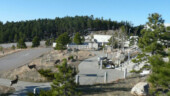 <b>Mt Rushmore Deer - </b>The mule deer are definitely unafraid of humans as they graze right by the entrance. The summer tourists probably feed them. (04/13/09) Mt Rushmore Deer