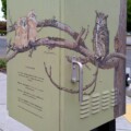 On the corner of N 11th Street & Pine Street
