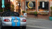 <b>Out Of This World #2 - The New Moon Cafe: </b>We used to go here quite a bit, but it has gotten to popular for its own britches, on Saturday and Sunday there are folks and their dogs lining up 30 minutes before they open the door. (4/28/19)