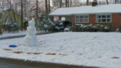 <b>Snowman</b> - The neighborhood kids made this, one of thousands around town, in the yard across the street from our house. Snowman