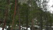 <b>Donna at Devils Tower - </b>On the northern side of the tower the trail around the base was completely covered in snow. Luckily for us some people had already walked around so we could follow their foot prints. (04/12/09) Donna at Devils Tower