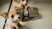 <b>Still Life - </b>"Chihuahuas and Pressure Switch" Before starting work this morning I rearranged a few items on my desk to capture this one. I kind of like the way the dogs are looking off in the same direction, like a trainer is holding a treat out for them, plus their ears line up with the shadows. (10/29/2004) Still Life