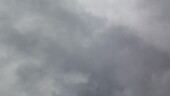 <b>Skylight III - </b>Donna snapped a few pictures through the Panoramic moonroof with fully automatic, two-piece glass panels, power slide and lift control, trap release, wind deflector and power interior sunshade showing that there is quite a different looking sky up there compared to two weeks ago in Augusta. (03/29/07 - Columbia, SC) Skylight III