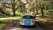 <b>Mother Nature at Her Finest #1: </b>Nothing says the South like Live Oak trees draped with Spanish Moss. (4/21/19)