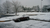 <b>Doesn't Look Too Bad From This Side</b> Doesnt-Look-Too-Bad-From-This-Side