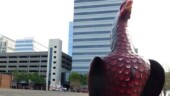The Capitol Center, at 25 stories barely qualifying for the Challenge, is the tallest office building in the whole state of South Carolina. I can't be sure, but that may be the tallest gamecock in the state too. (4/5/14) Destination - Skyscraper