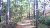 <b>Foxes' Den - </b>In all the time we spend walking in the woods we have never seen a fox. But that doesn't mean there aren't a ton of them in this very field. (11/23/08) Foxes' Den