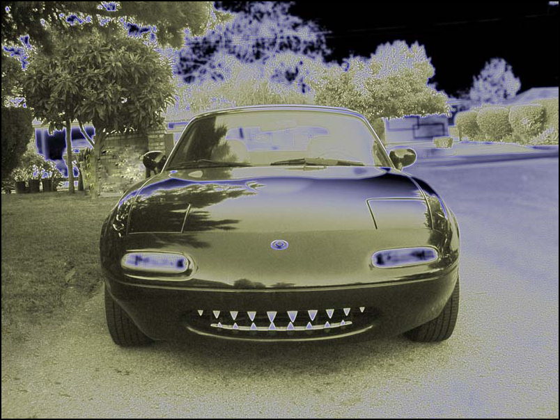 photo32.jpg