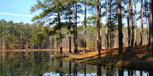 Lick Fork Lake