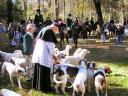 Blessing of the Hounds