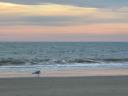 Hilton Head Island