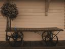 Sepia Cart