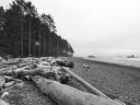 Washington Coast