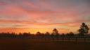 Sunrise Over Ford Conger Field