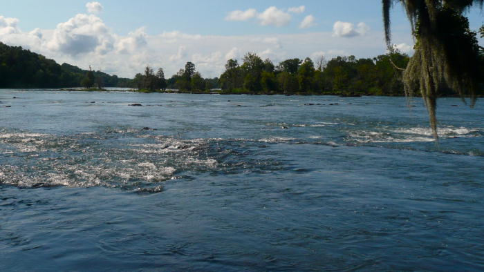Savannah River Rapids