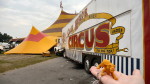 Cole Bros Circus