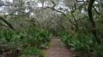 Florida Trail