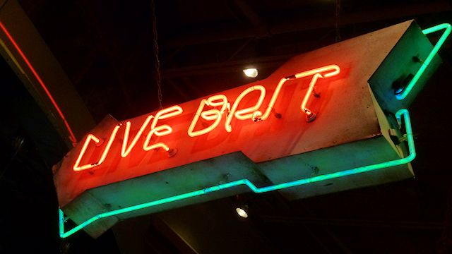 Live Bait