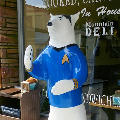 Spock Bear
