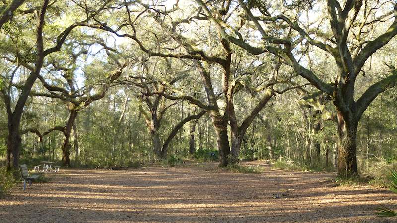 Silver Springs Conservation Area