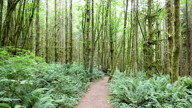 Lime Kiln Trail