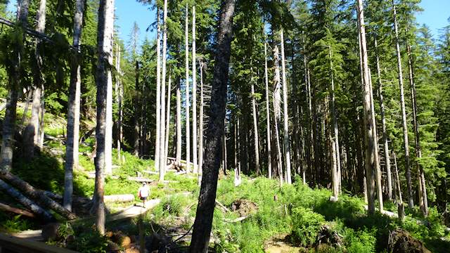 Walk to the Ice Caves