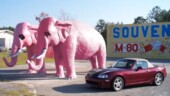 <b>Pink Pachyderms - </b> Monday on our way to Savannah I spotted these big elephants outside of a fireworks store, so I had to stop and take a picture. The one on the left is actually pink and the one on the right is gray that I colorized so that everyone seeing this will start to hum "Pink Elephants on Parade" from Dumbo. (11/20/06) Pink Pachyderms