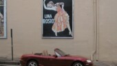 <b>Lina Rosio - </b>Down a small side street in the small town of Abbeville, SC there are several of these posters painted on the wall of the buildings giving almost a European feel. Lina Rosio