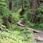 <b>Barclay Lake Trail - </b>A few parts of the trail has wooden boardwalks to keep your feet out of what I'm sure would be mud in a rainier time of the year. (05/26/07) Barclay Lake Trail