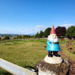 <b>Gnorm Down On The Farm - </b> Gnorm guards the pasture from intruders. (05/28/07) Gnorm-Down-On-The-Farm