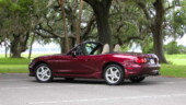 <b>Paris Island - </b>While visiting Beaufort, SC for a Drive-In movie trip with the Miata Club we did a tour of Paris Island Marine Corp Depot where the oaks are hung with Spanish Moss. Paris Island