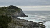 <b>White Head</b> - The back side of the Island is lined with high ocean cliffs which are actually some of the highest on the entire Maine coast. (09/06/12) White Head