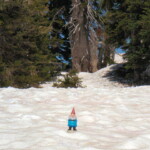 <b>Gnorm and Snow - </b> At the top of Hurricane Ridge in the Olympia Gnational Park there was still a bit of snow on the ground even though the temperature was near 70 degrees. (05/31/07) Gnorm-and-Snow