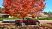 <b>September - </b>The local newspaper offices have a half dozen or so of these maple trees on their front lawn. A week or so before they had published some photos of the trees as they turned the bright colors of fall, but I forgot all about them the first day I went out locally looking for autumn backgrounds for the Miata. Which turned out to be fortuitous as on a Sunday afternoon when I did remember these trees there was no one at work to object to me driving on their front lawn? :-) September