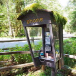 <b>Gnorm Phones Home - </b> Part way through the trip Gnorm got homesick, so he called home. Nobody answered, so he was a little despondent until we bought him a treat. (06/01/07) Gnorm-Phones-Home