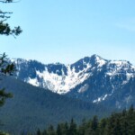 <b>Hurricane Ridge - </b>18 miles of nearly all uphill inland from Port Angeles is Hurricane Ridge. The Visitor's Center is at about 1 mile in altitude while the ridge itself has elevations of over 6,000'. (05/31/07) Hurricane Ridge