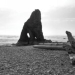 <b>Rocky Shore - </b>Not only are there interesting sea stacks and giant driftwood logs, but Ruby Beach is composed of big rounded stones not sand. Very different from the Atlantic Coast beaches I'm more familiar with. (05/31/07) Rocky Shore