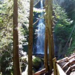 <b>Marymere Falls - </b>These were at the end of a half mile easy hike and a 1/4 mile straight up hike, but worth every effort expanded to get there. As a bonus we got a home baked chocolate cookie at the upper look out. There were a group of 4th graders touring the falls and Donna and I arrived just as they were taking a break. One of the chaperons was handing out cookies and they had a couple left over and offered them to us. (06/01/07) Marymere Falls