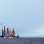 <b>Kalaloch Beach Panorama - </b>Some one with a lot of free time decided to build this "wall" on the beach with driftwood. Kalaloch Beach Panorama