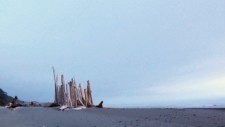 Kalaloch Beach Panorama