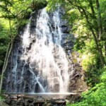 <b>Crabtree Falls - </b>The trail to Crabtree Falls is a loop, with one segment to the falls listed at .9 miles and the other being 1.6 miles. What they don?t mention is that it is a half-mile to the beginning of the loop. We took the shorter path to the falls and boy was it interesting, steep, rocky, and full of roots and all downhill. The 70' falls were definitely worth the walk though. We took the long way back and the trail was a whole lot less rocky and because it was longer, it was less steep. (06/28/2007) Crabtree Falls