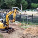 <b>Deere Enclosure - </b>I'm not sure what the species is of this deere, but it must be from Africa because it was right next to the elephants. (06/30/07) Deere Enclosure
