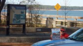 <b>Giant Human Creations 02 - Thurmond Lake: </b>Thurmond Lake is the largest Corps of Engineers lake east of the Mississippi River. The lake encompasses 1,200 miles of shoreline, 70,000 acres of water and 80,000 acres of land. (2/4/17)