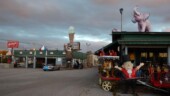 <b>Roadside Oddities 02 - Harry's Grill Collection: </b>Another must see spot in Hendersonville, NC. How many "oddities" can you spot in this photo? (3/19/17)