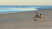 Beach Cruiser