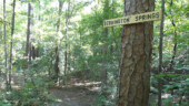 <b>Bebbington Springs</b> - A new sign. We just crossed Crazy Creek, but I don't see any springs. (10/19/08)