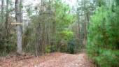 <b>Cavalry Charge - </b>A short and very steep drop of a trail that leads to Crazy Creek. (12/20/08) Cavalry Charge
